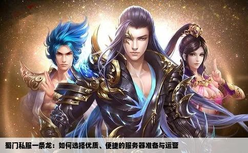 蜀门私服一条龙：如何选择优质、便捷的服务器准备与运营