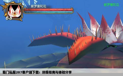 蜀门私服207客户端下载：详细指南与体验分享