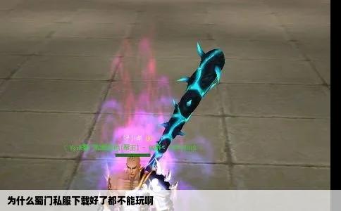 为什么蜀门私服下载好了都不能玩啊